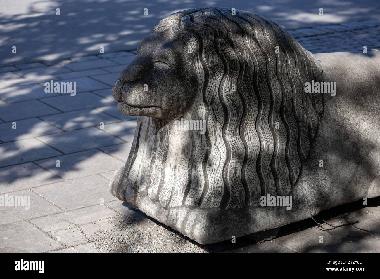 Una dettagliata scultura in pietra di un leone disteso, che mostra la sua criniera testurizzata e le caratteristiche facciali. La scultura è collocata su una superficie pavimentata con Sha Foto Stock