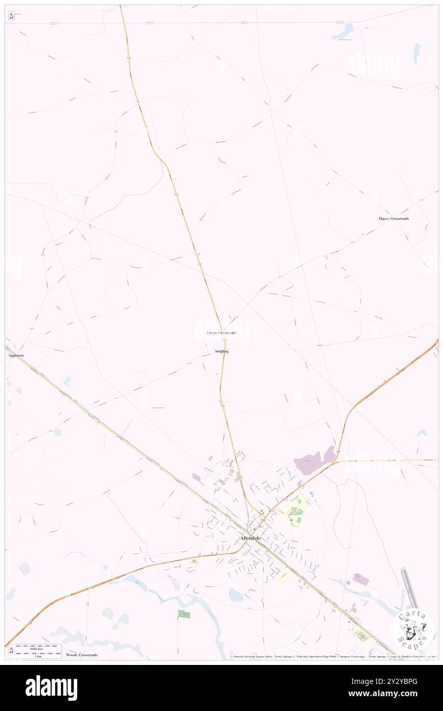 Grays Crossroads, Allendale County, Stati Uniti, Carolina del Sud, N 33 2' 52'', S 81 18' 54'', MAP, Cartascapes Map pubblicata nel 2024. Esplora Cartascapes, una mappa che rivela i diversi paesaggi, culture ed ecosistemi della Terra. Viaggia attraverso il tempo e lo spazio, scoprendo l'interconnessione del passato, del presente e del futuro del nostro pianeta. Foto Stock