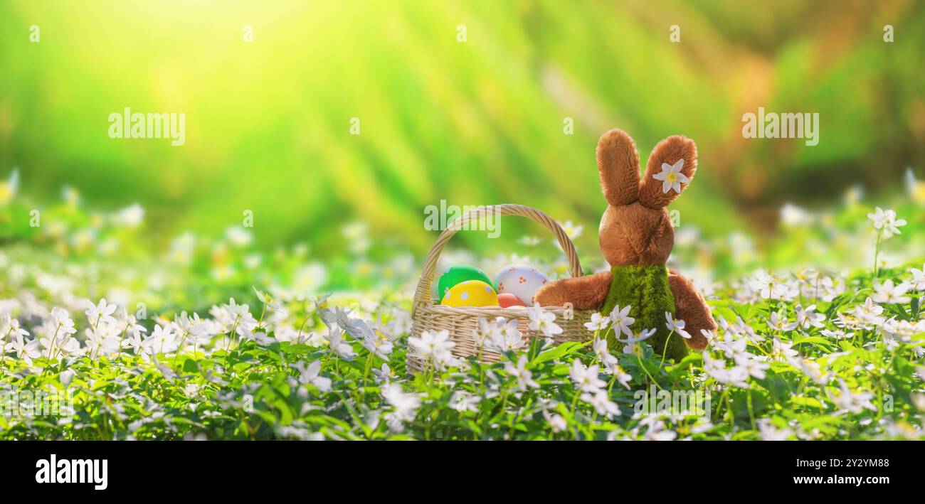 Biglietto d'auguri pasquale con spazio per testo, banner - Vista posteriore di un peluche coniglietto con un cestino pieno di uova di Pasqua nella foresta primaverile Foto Stock