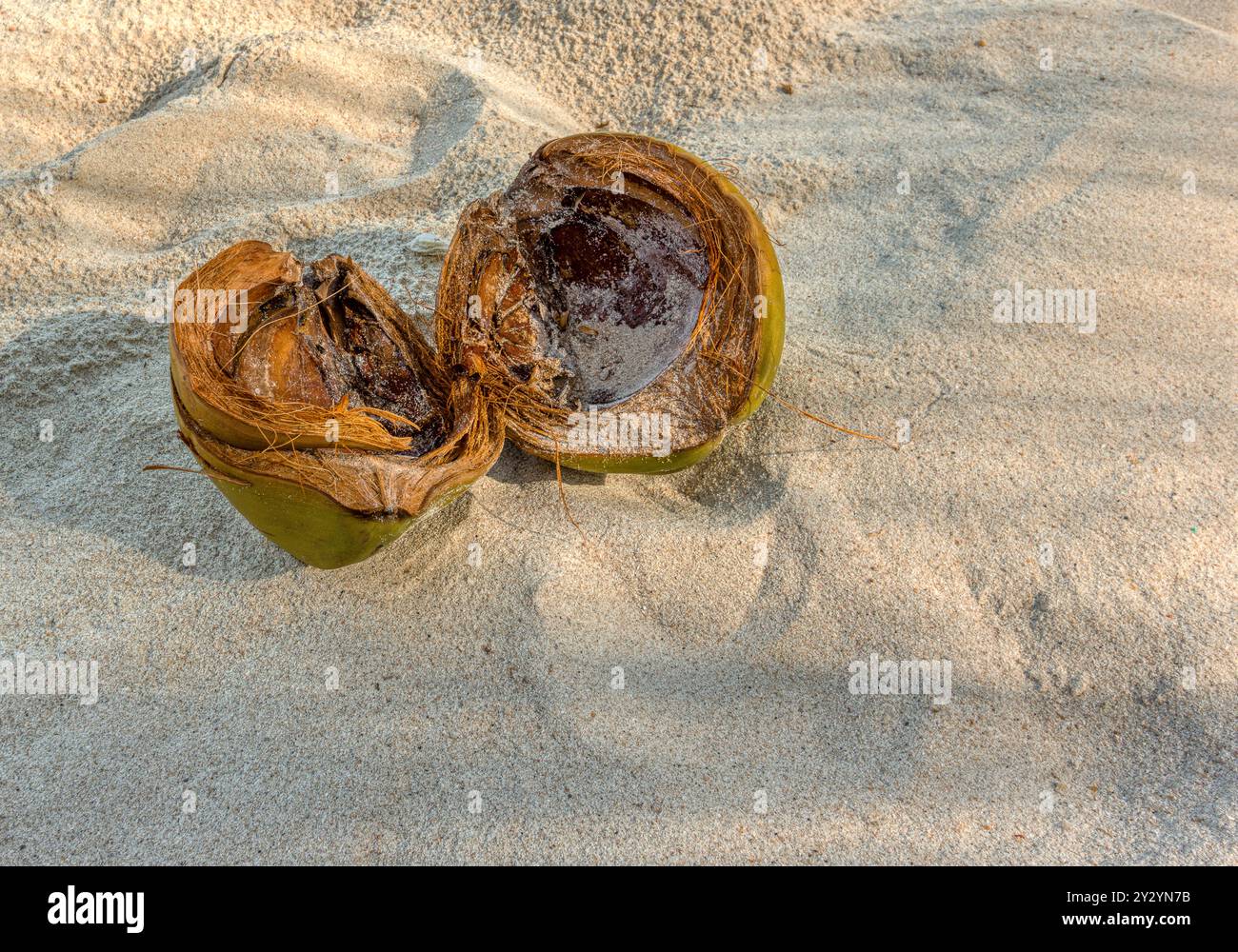 Il cocco su di una spiaggia di sabbia, diviso in due metà, Koh Phangan, Tailandia - 5 Maggio 2016 Foto Stock
