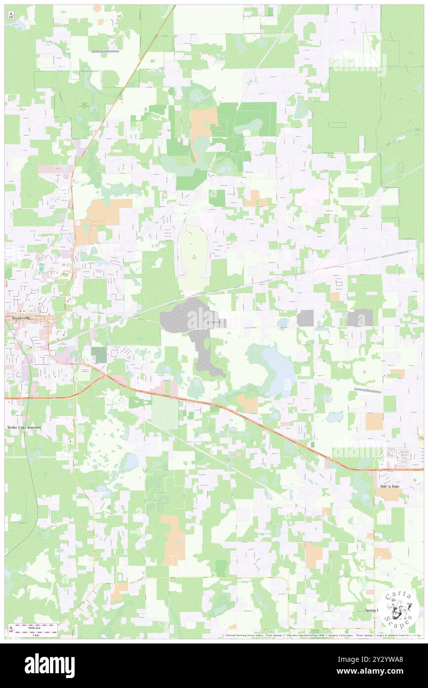 Conrock, contea di Hernando, Stati Uniti, Florida, N 28 33' 15''', S 82 20' 29'', MAP, Cartascapes Map pubblicata nel 2024. Esplora Cartascapes, una mappa che rivela i diversi paesaggi, culture ed ecosistemi della Terra. Viaggia attraverso il tempo e lo spazio, scoprendo l'interconnessione del passato, del presente e del futuro del nostro pianeta. Foto Stock