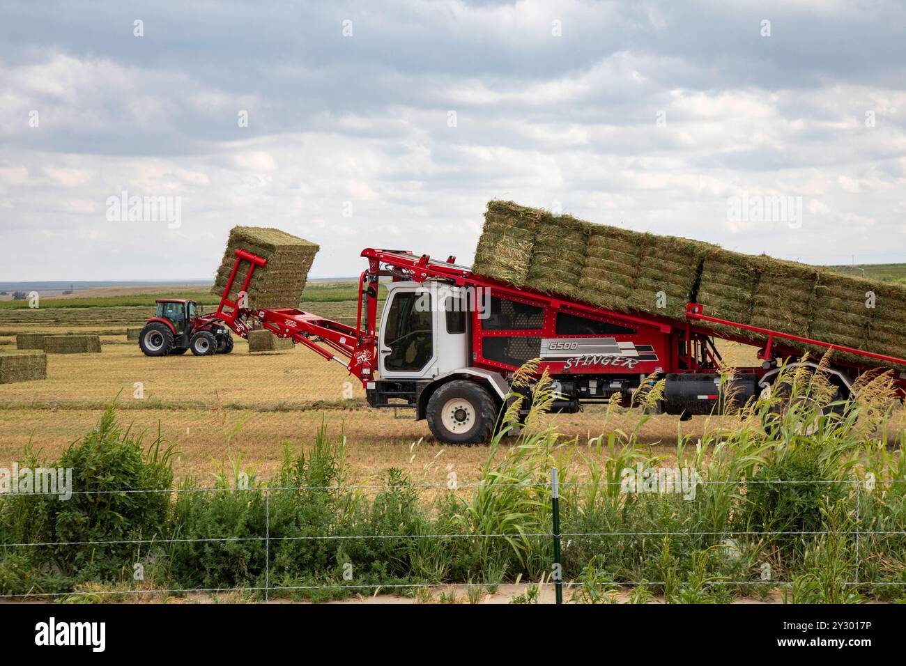 McClave, Colorado - gli agricoltori raccolgono fieno nel sud-est del Colorado. Foto Stock