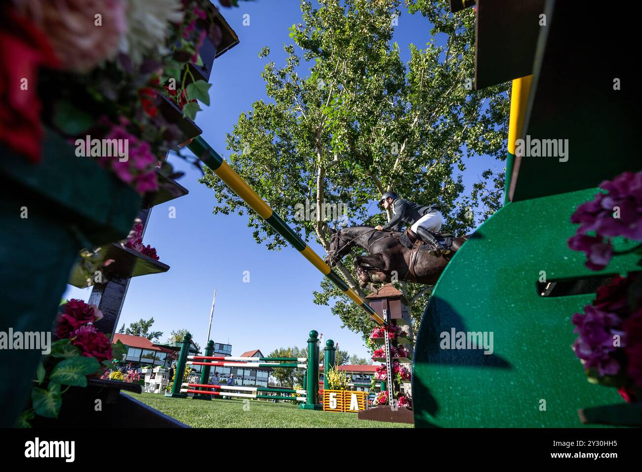 Calgary, Canada - 6 settembre 2024. I Kristaps Neretnieks della Lettonia, in sella al Palladium KJV, gareggiano nella Tourmaline Cup di 1,60 m durante il CSIO Spruce Meado Foto Stock