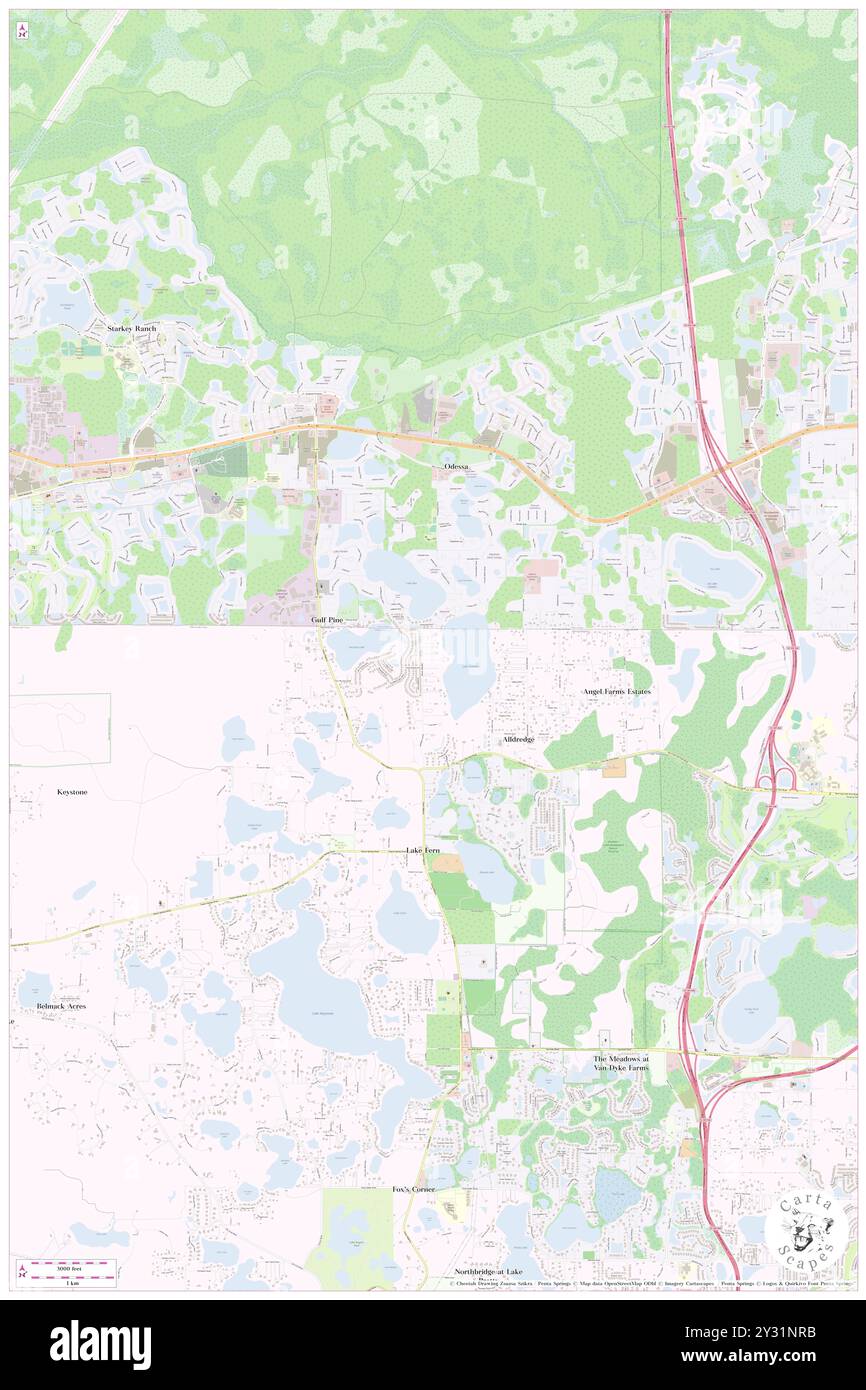 Great Lakes, Hillsborough County, Stati Uniti, Stati Uniti, Florida, N 28 10' 14'', S 82 34' 41'', MAP, Cartascapes Map pubblicata nel 2024. Esplora Cartascapes, una mappa che rivela i diversi paesaggi, culture ed ecosistemi della Terra. Viaggia attraverso il tempo e lo spazio, scoprendo l'interconnessione del passato, del presente e del futuro del nostro pianeta. Foto Stock