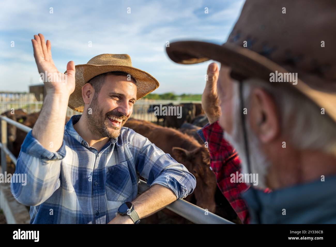 Giovane agricoltore che alza la mano per fare un gesto "dammi cinque" agli agricoltori più anziani del ranch Foto Stock