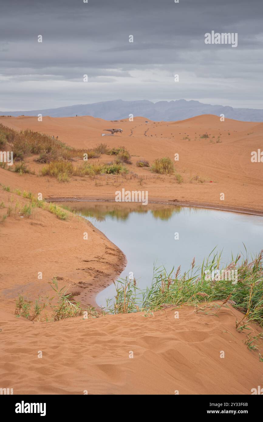 Il deserto di Badain Jaran è un deserto della Cina che si estende nelle province di Gansu, Ningxia e Mongolia interna. Per dimensione è il terzo deserto più grande del mondo Foto Stock