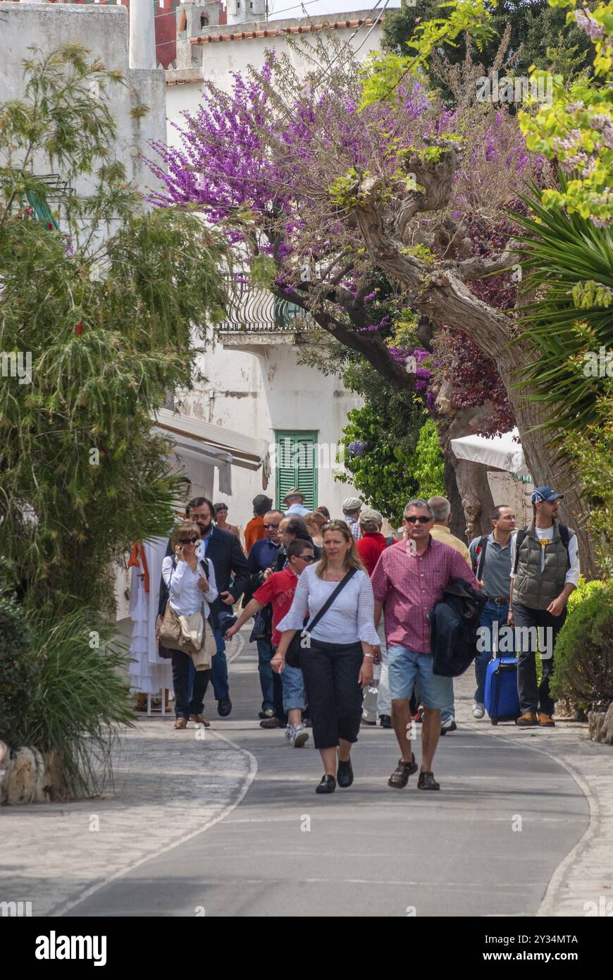 Turisti in strada ad Anacapri, Isola di Capri, Campania, Italia, Europa Foto Stock