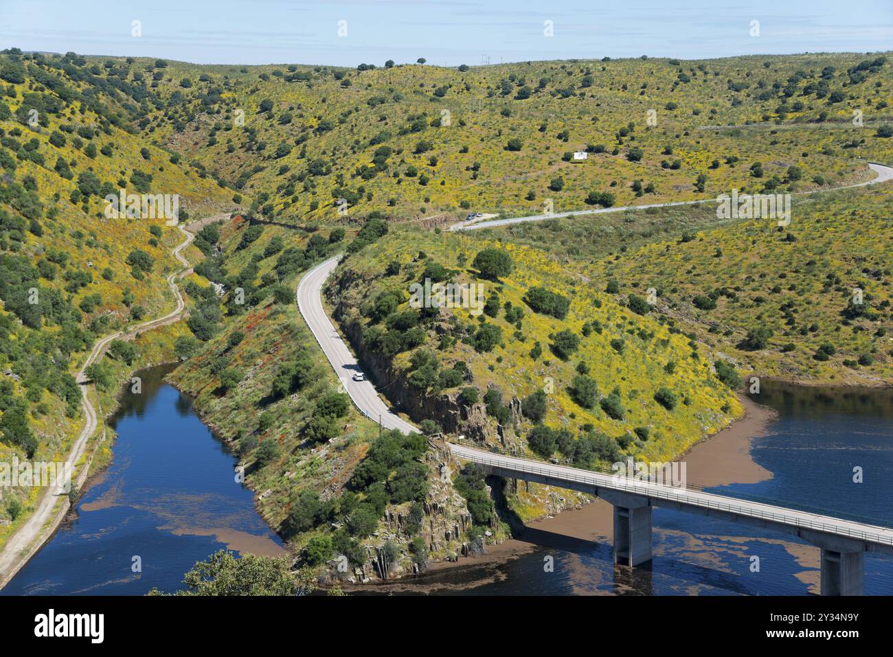 Ponte stradale su un fiume in un paesaggio collinare, verde, punto Nuevo del Cardinal, fiume Tago, Tago, Parco Nazionale Monfraguee, Caceres, Caceres, Extre Foto Stock
