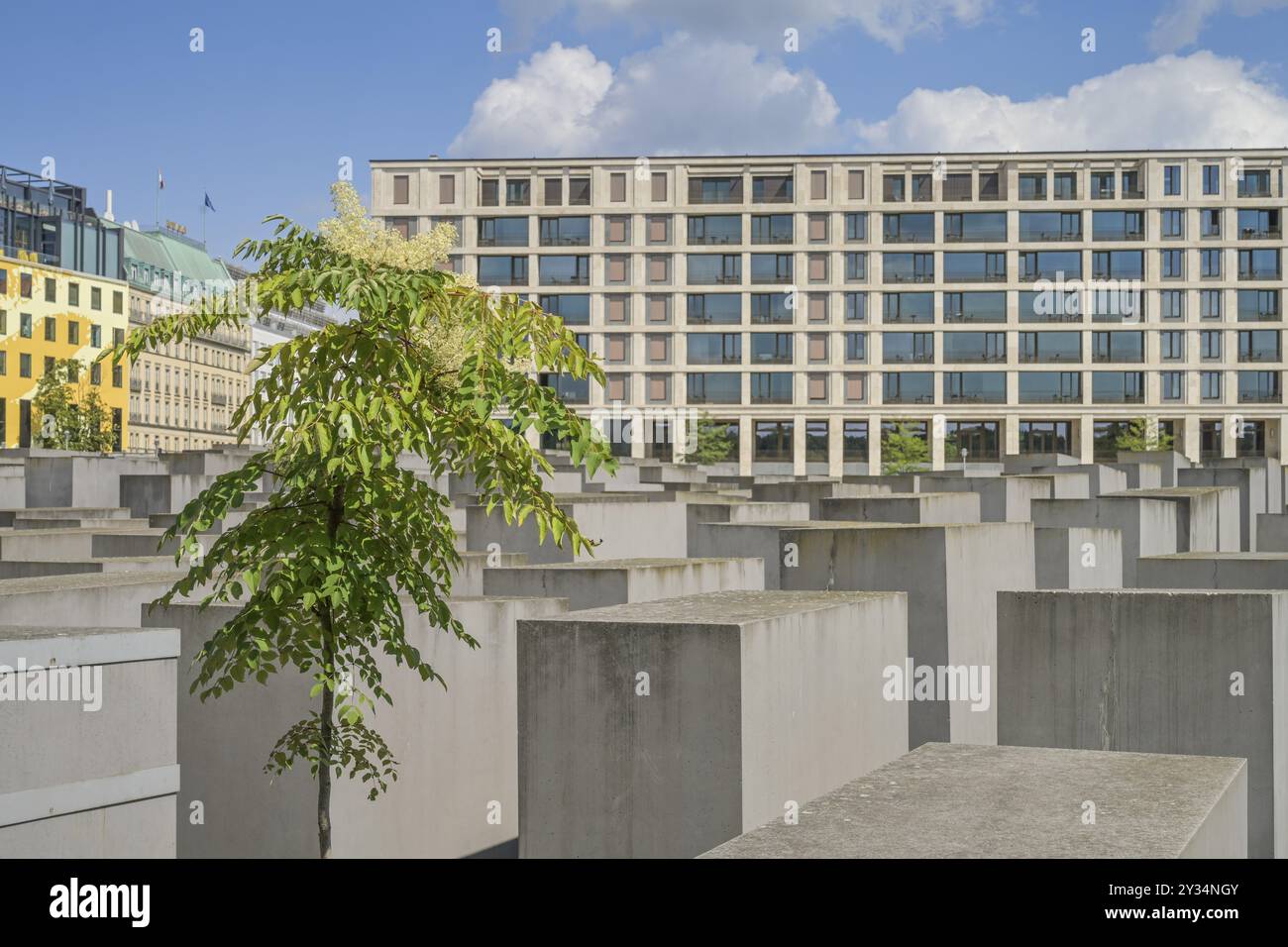 Memoriale dell'Olocausto, campo di Stelae, Mitte, Berlino, Germania, Europa Foto Stock