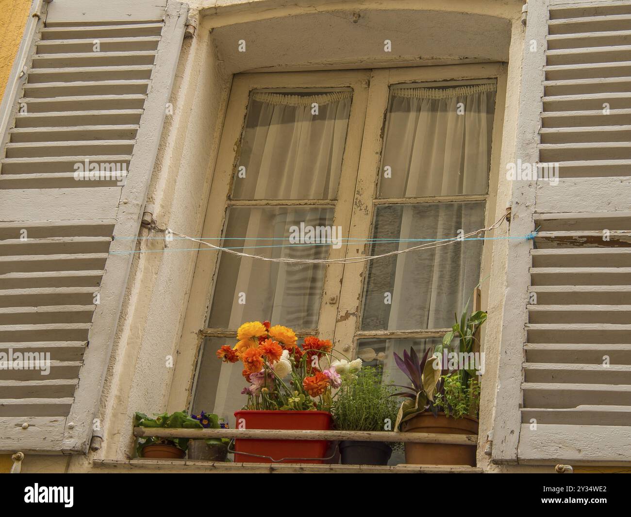 Una finestra con persiane aperte e vasi di fiori davanti alle pareti beige e tende trasparenti, Cannes, Mar Mediterraneo, Francia, Europa Foto Stock