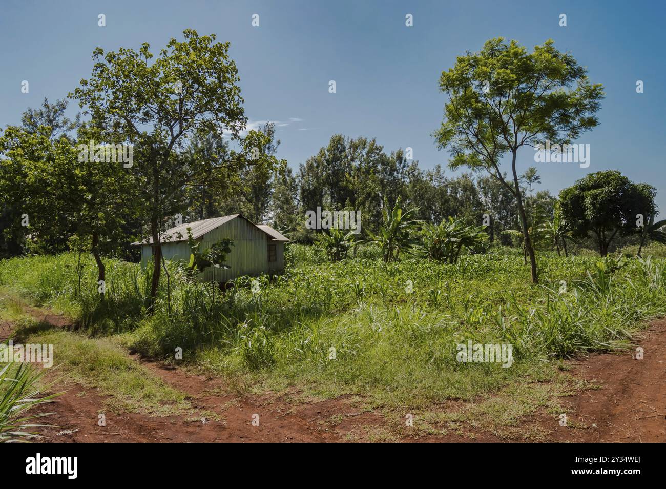 Casa rurale in Kenya, Africa. Una casa rurale in Kenya, Africa. Una base molto costruzione fatta di argilla e di legno, ma è efficiente Foto Stock