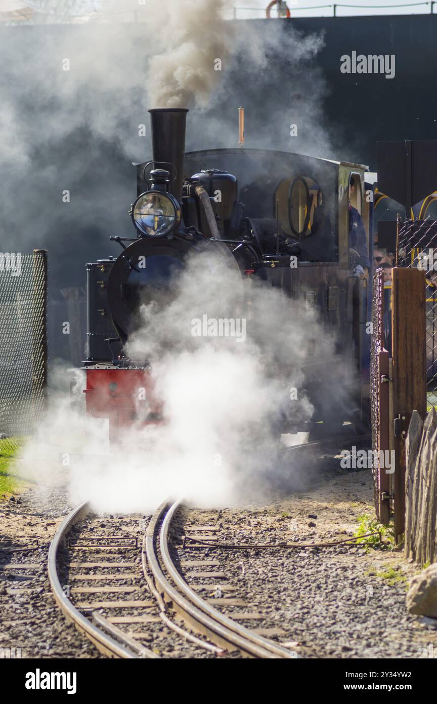 La partenza di una locomotiva a vapore in una nuvola di fumo e vapore in un parco animale nel nord-ovest del Belgio Foto Stock