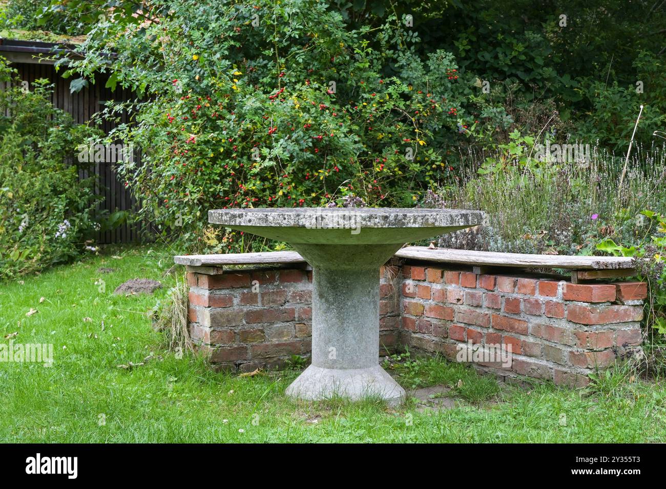 Tavolo in pietra e panca in mattoni tra erbe, piante autoctone e arbusti di rosa selvatica in un giardino di campagna naturale ecologico, idilliaco posto a sedere, copia Foto Stock