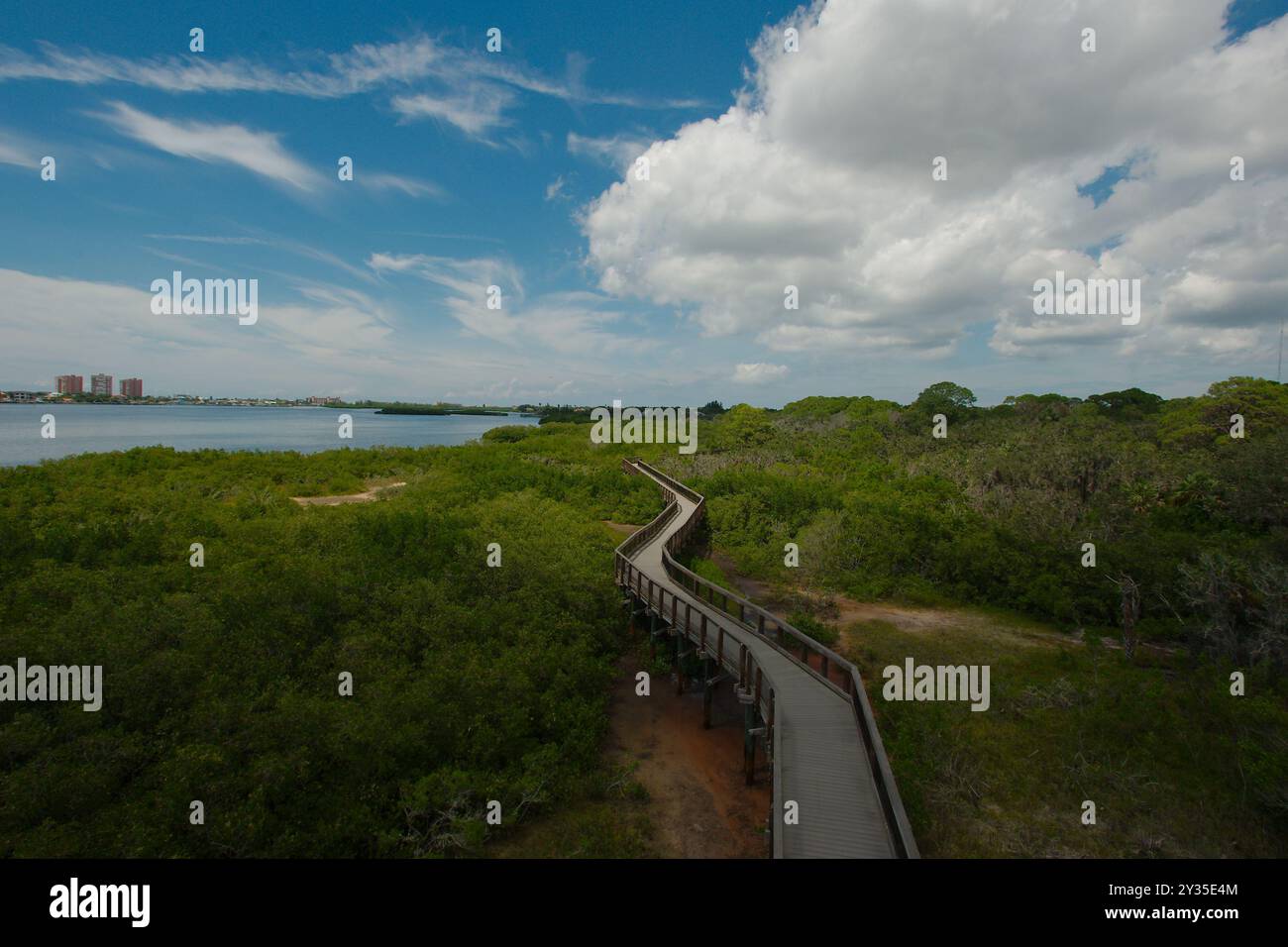 Ampia vista dalla torre di osservazione delle linee principali di un sentiero naturalistico in legno a zig zag sulla destra che conduce a Green Trees. Sole luminoso con cielo blu e. Foto Stock