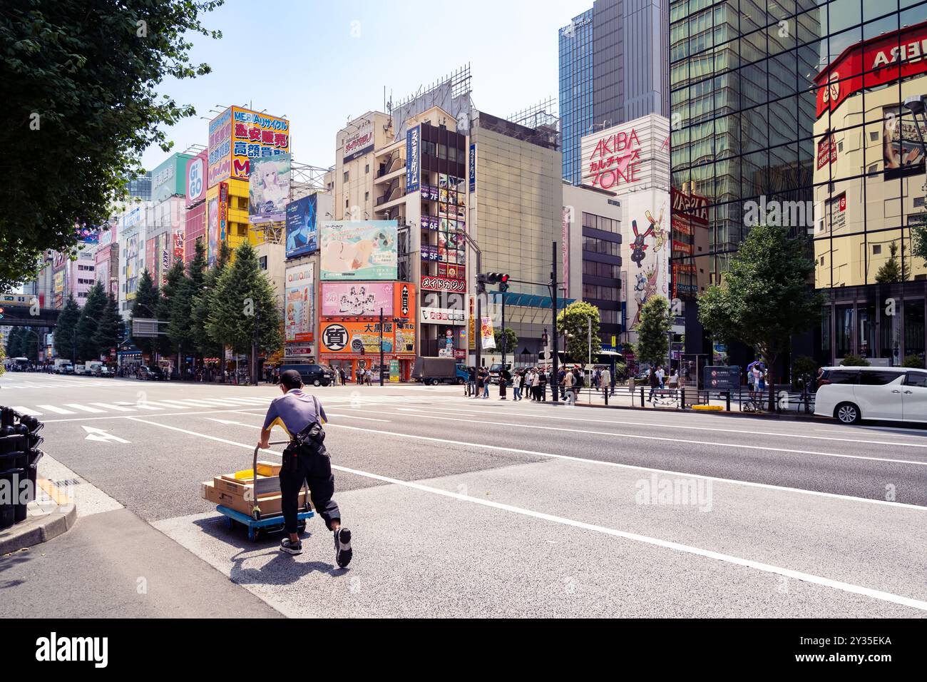 Tokyo, Giappone - 5 agosto 2024: Persone che camminano ad Akihabara, il quartiere dove si possono trovare tutti i negozi relativi a manga, anime e tecnologia durante un Foto Stock