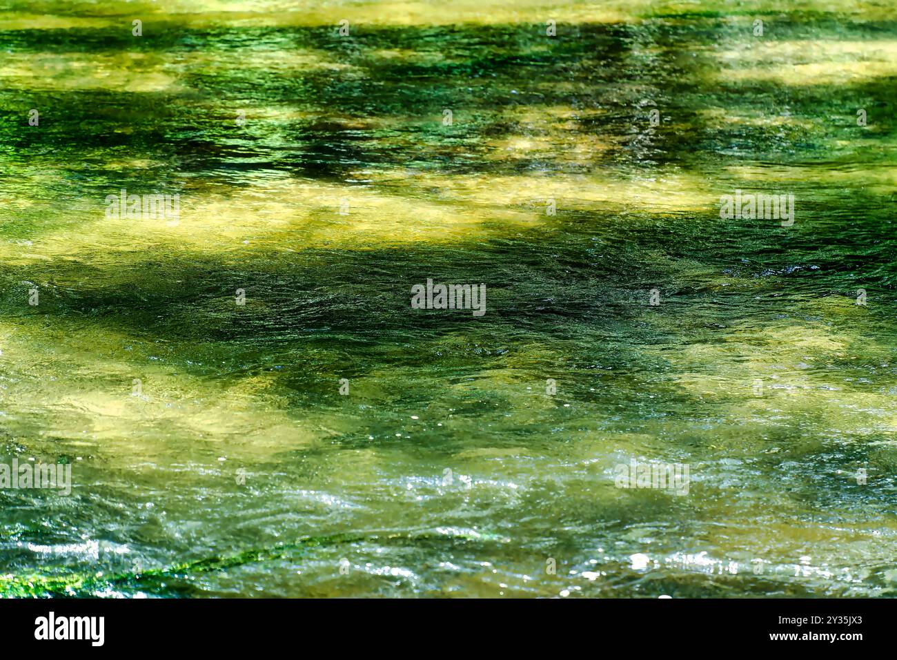 Vista della superficie dell'acqua del fiume Würm con intense alghe verdi e piante, con movimento dell'acqua Foto Stock