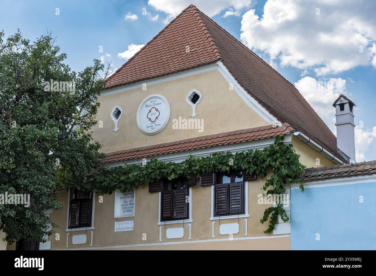 Edifici storici sassoni, Viscri, Romania Foto Stock