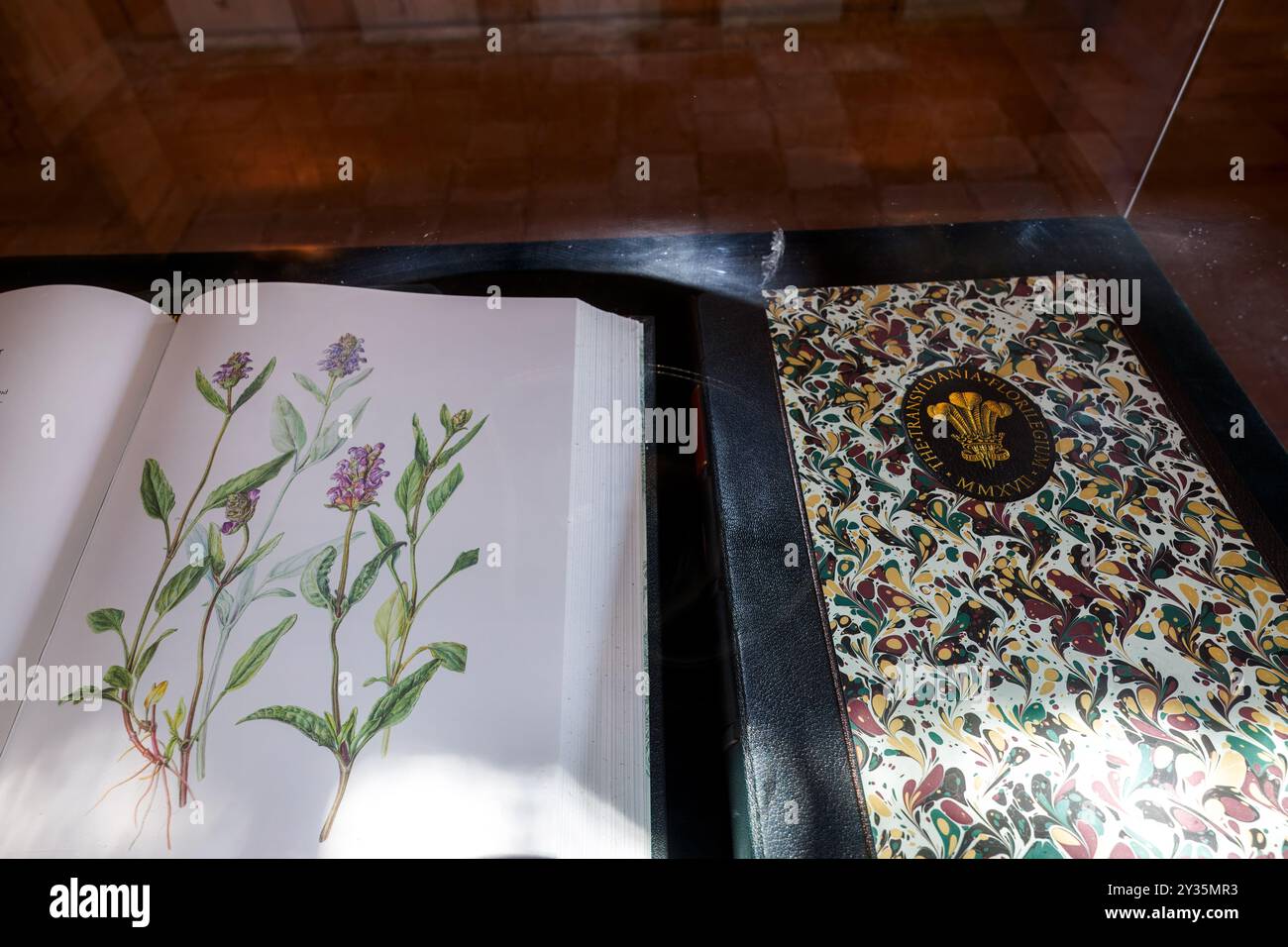 Disegni a mano botanici, proprietà di re Carlo III, insegne del principe di Galles, Viscri, Romania Foto Stock