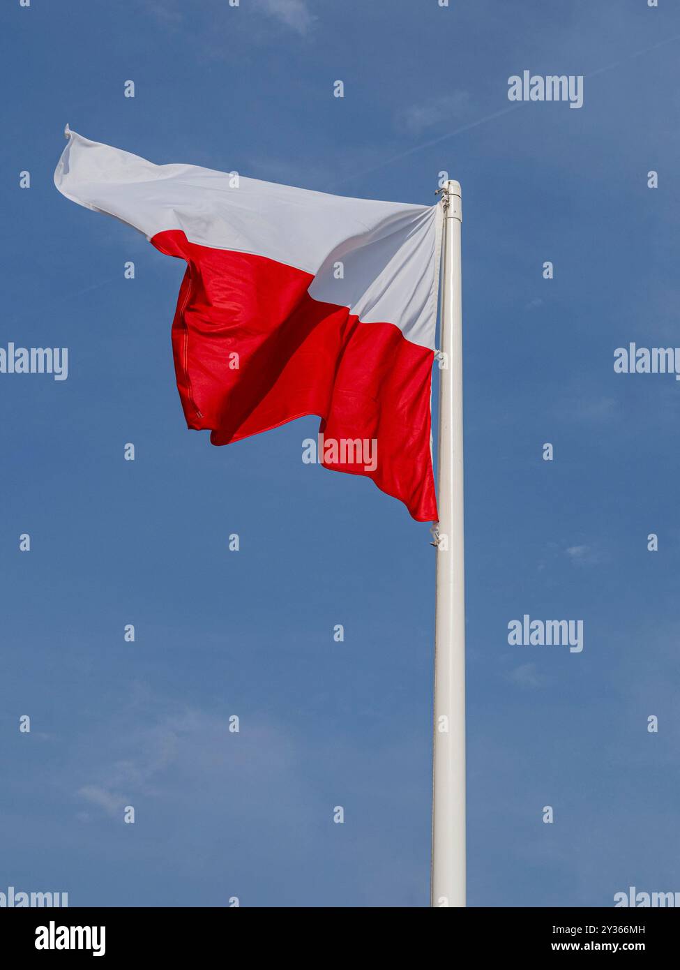 Uno striscione polacco bianco e rosso vola sull'albero sullo sfondo di un cielo blu leggermente nuvoloso. Foto Stock