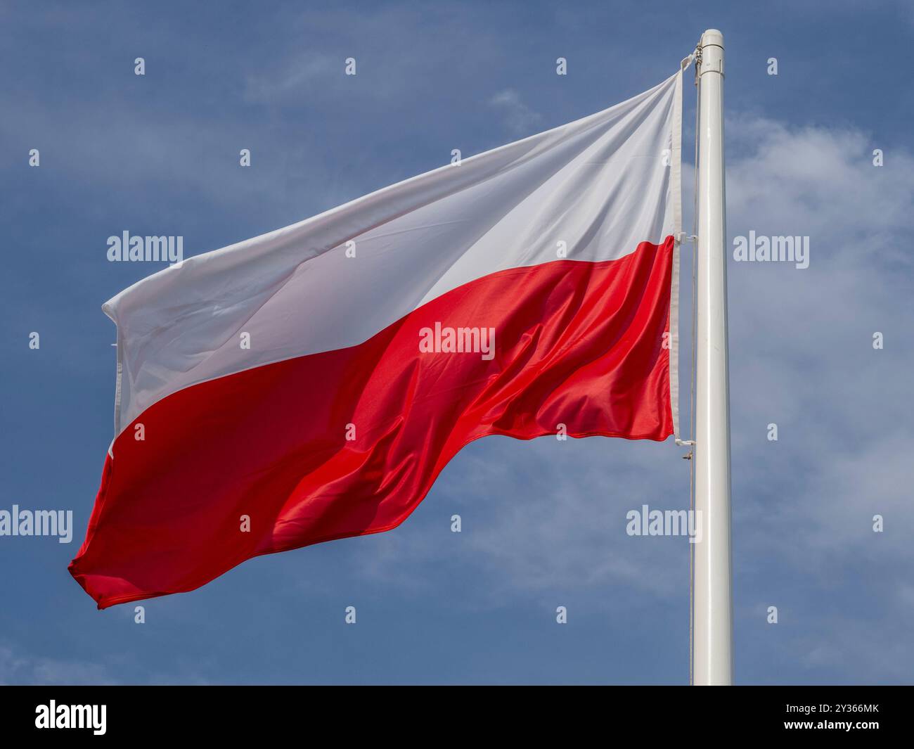 Uno striscione polacco bianco e rosso vola sull'albero sullo sfondo di un cielo blu leggermente nuvoloso. Foto Stock
