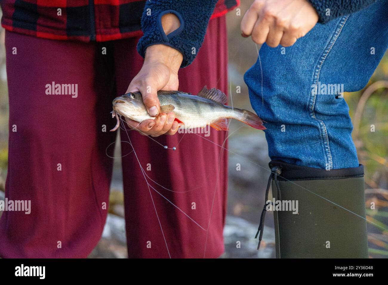 Una persona che detiene un pesce appena pescato e che mostra le catture del giorno. L'individuo indossa una camicia a scacchi rossa e nera, mentre un'altra persona come Foto Stock