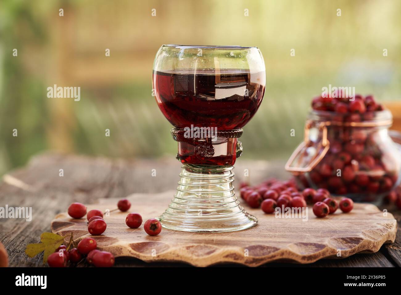 Vino medicinale a base di bacche di biancospino fresche in una tazza di vetro boschivo contenente bolle d'aria Foto Stock