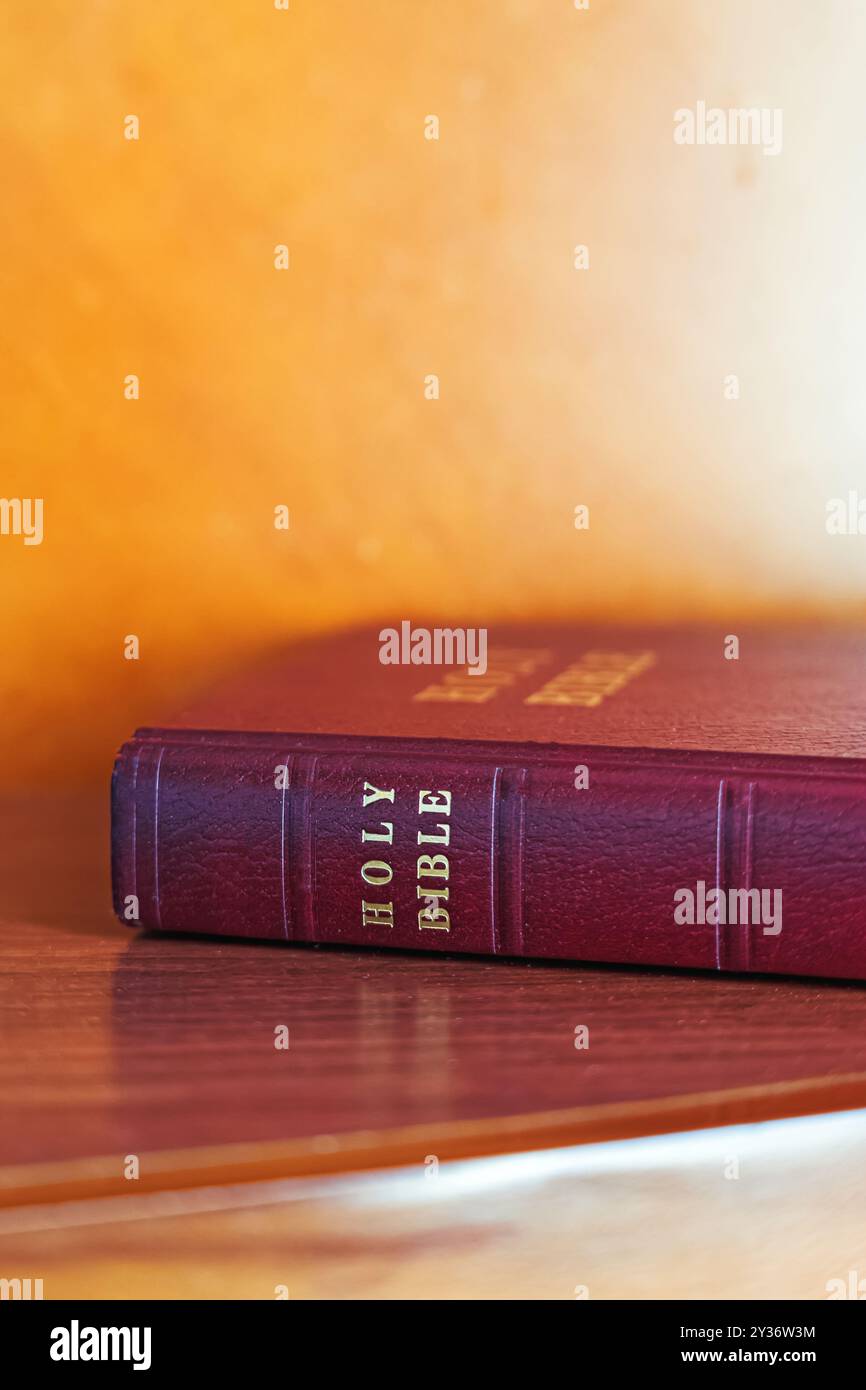 Foto ravvicinata di una spina dorsale del libro della Sacra Bibbia in una copertina rossa Foto Stock