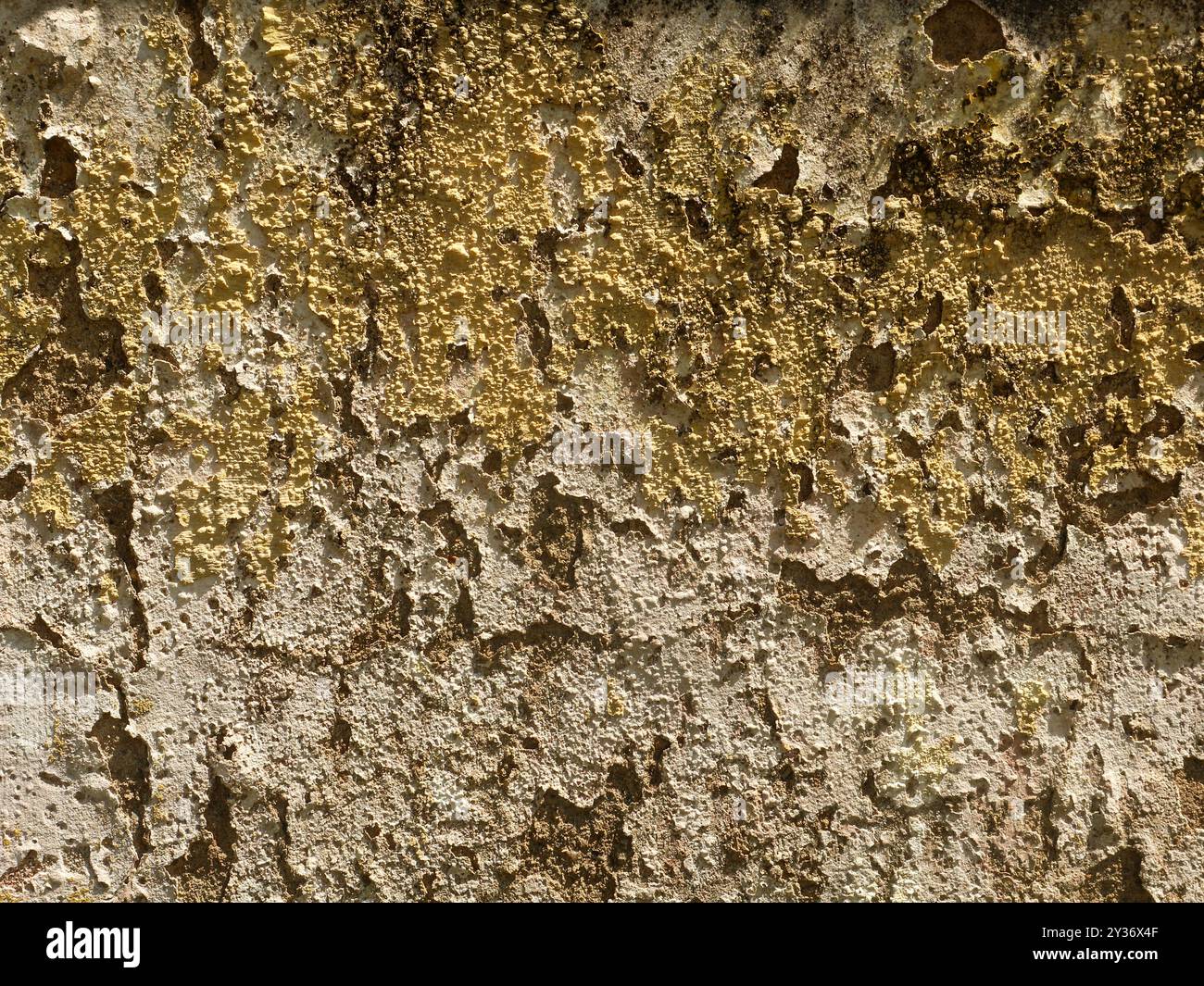 Sfondo della superficie della parete in calcestruzzo testurizzato pieno di macchie Foto Stock
