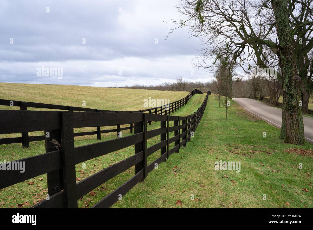 Colline erbose ondulate e recinzione in legno dal paesaggio rurale del Kentucky Foto Stock