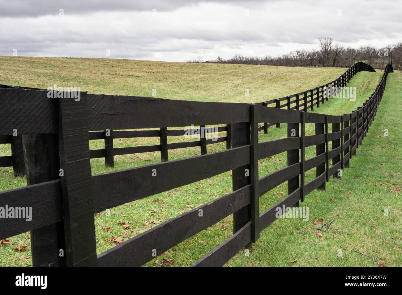 Colline erbose ondulate e recinzione in legno dal paesaggio rurale del Kentucky Foto Stock