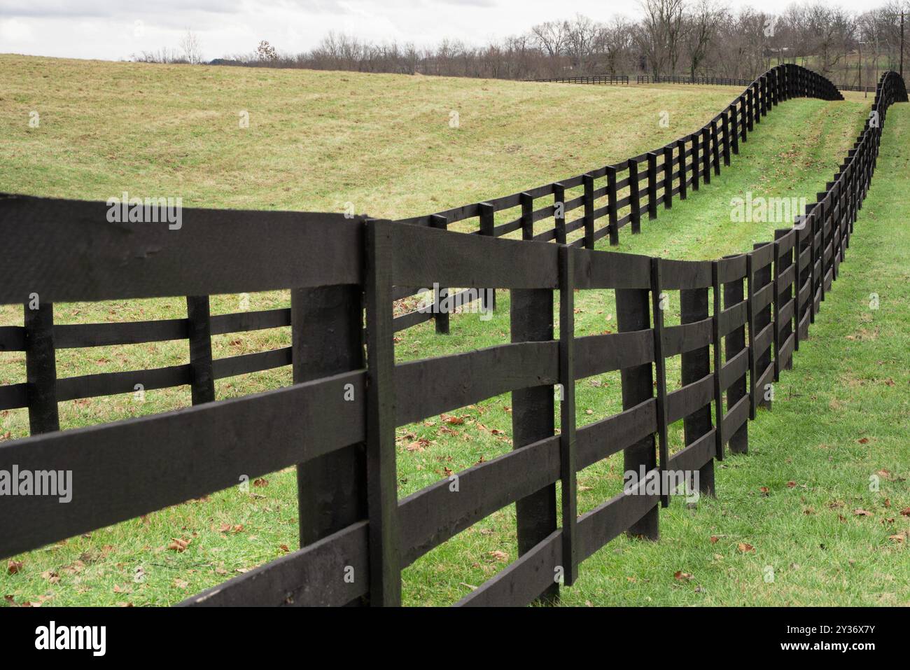Colline erbose ondulate e recinzione in legno dal paesaggio rurale del Kentucky Foto Stock