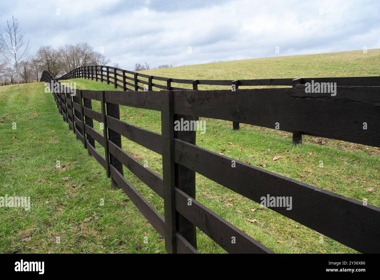 Colline erbose ondulate e recinzione in legno dal paesaggio rurale del Kentucky Foto Stock