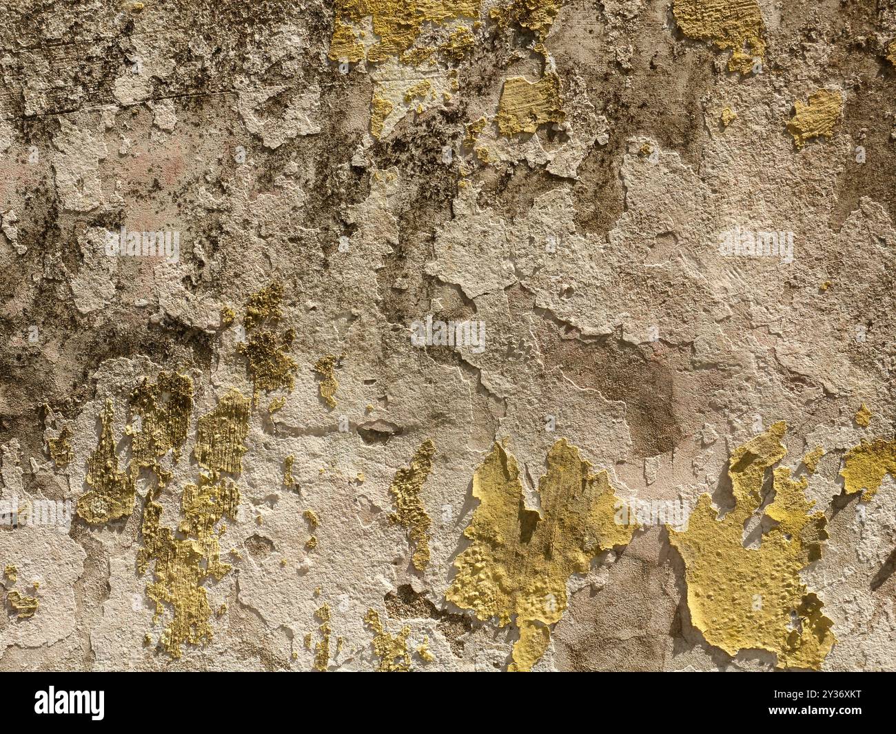 Sfondo della superficie della parete in calcestruzzo testurizzato pieno di macchie Foto Stock