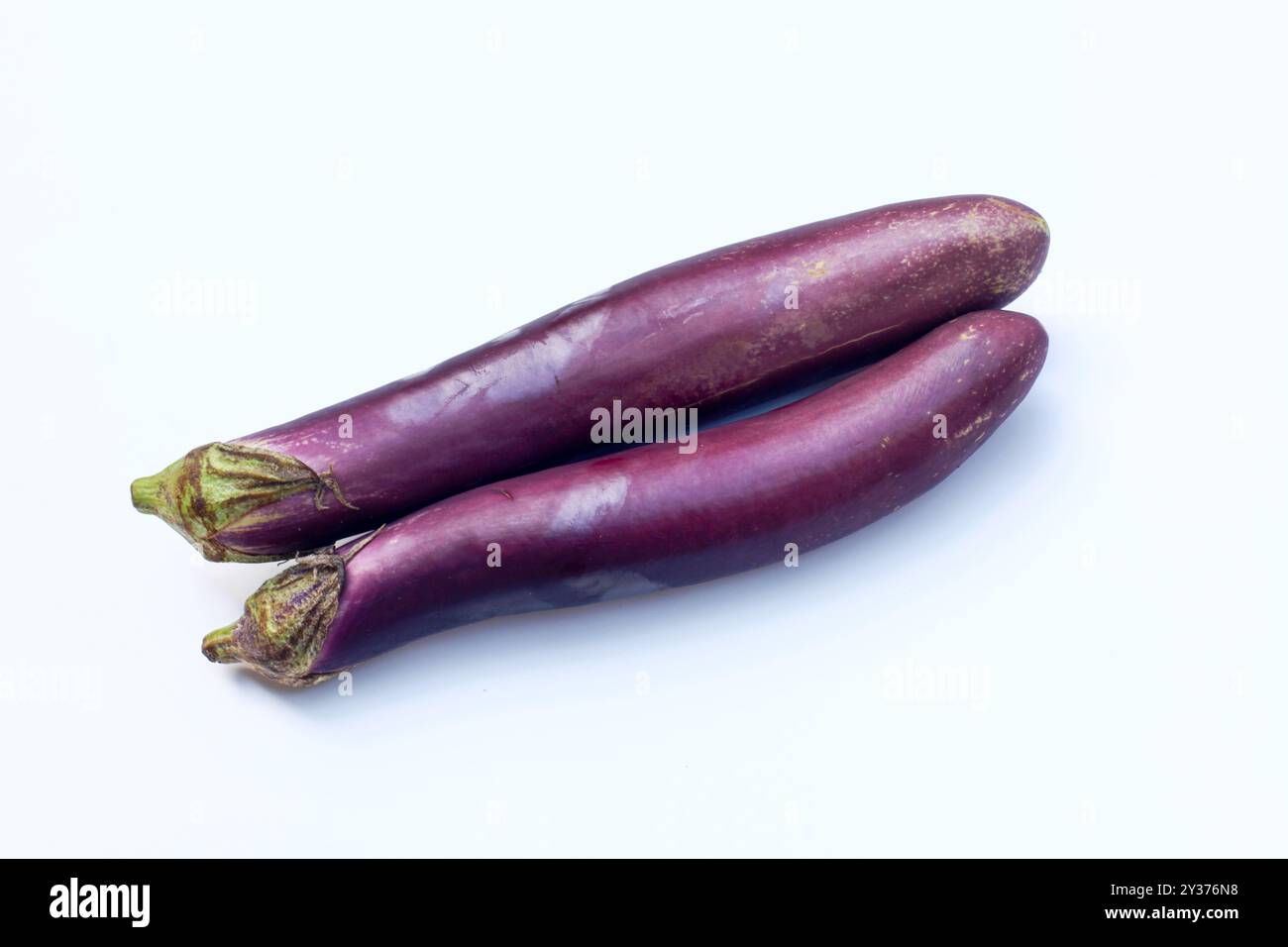 Due melanzane viola o melanzane isolate su sfondo bianco Foto Stock