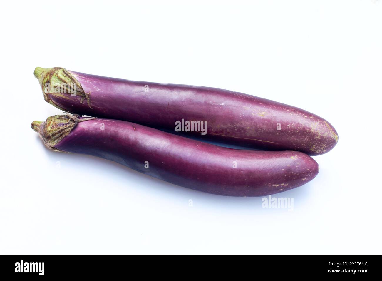 Due melanzane viola o melanzane isolate su sfondo bianco Foto Stock