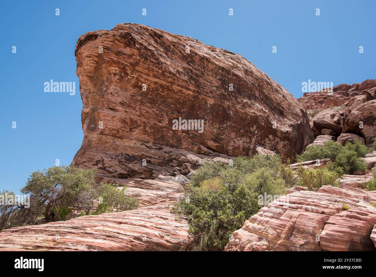 Calico Basin Trail, Red Rock Canyon, Nevada Foto Stock