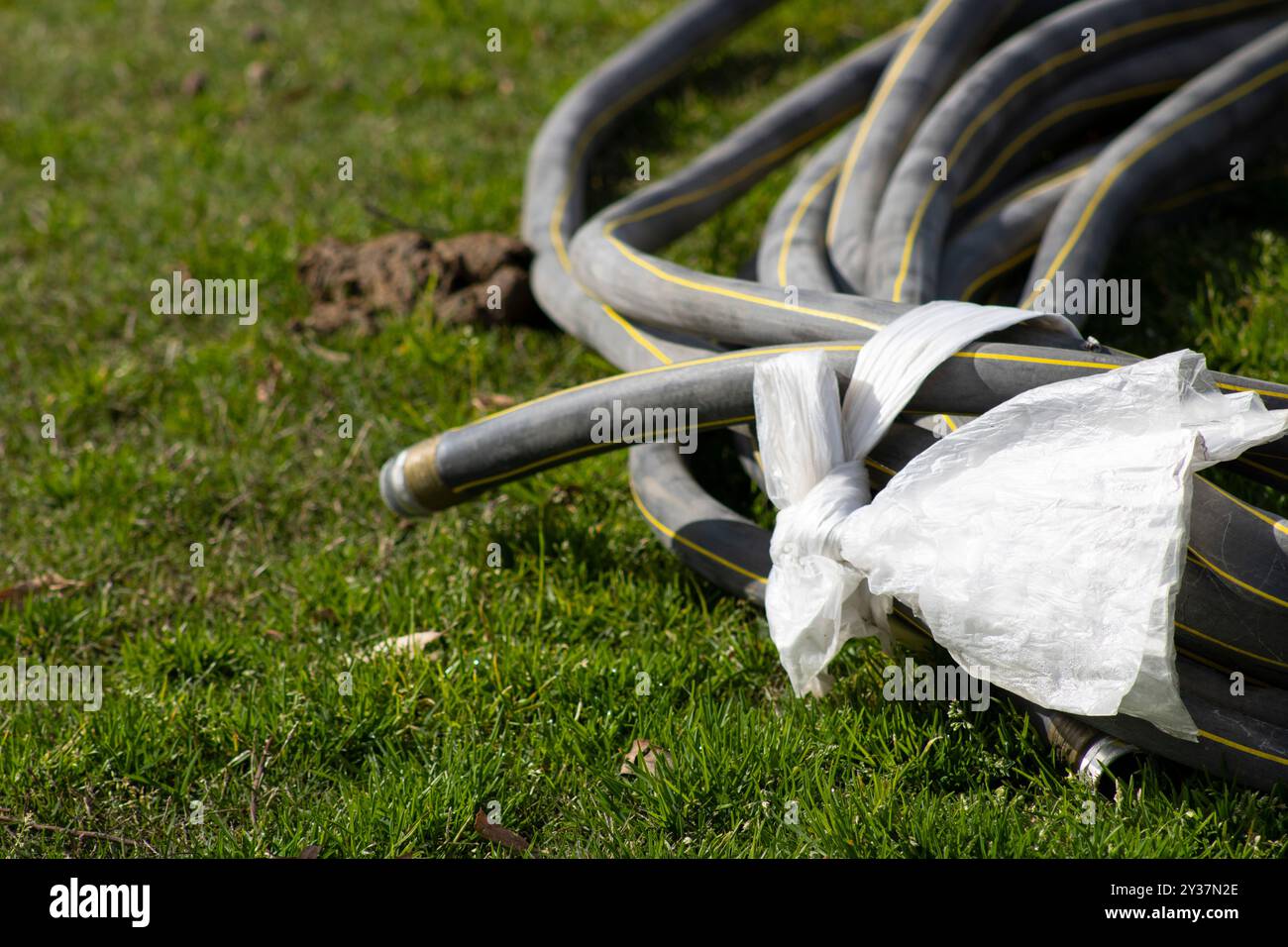 tubo da giardino adagiato su erba verde Foto Stock