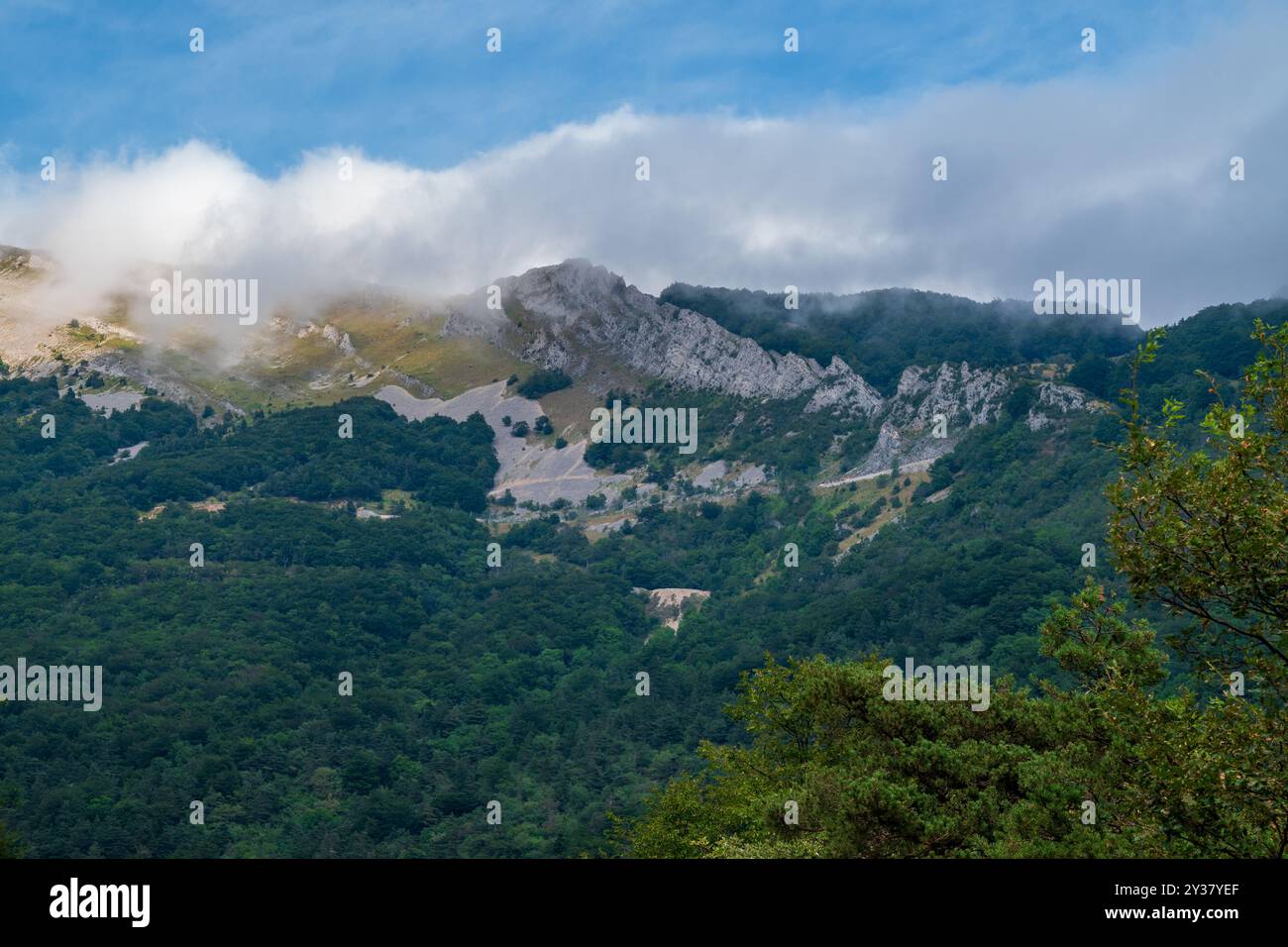 Una splendida vista delle cime delle montagne e delle nuvole bianche contro il cielo blu nel Vercors, regione prealpina in Francia Foto Stock