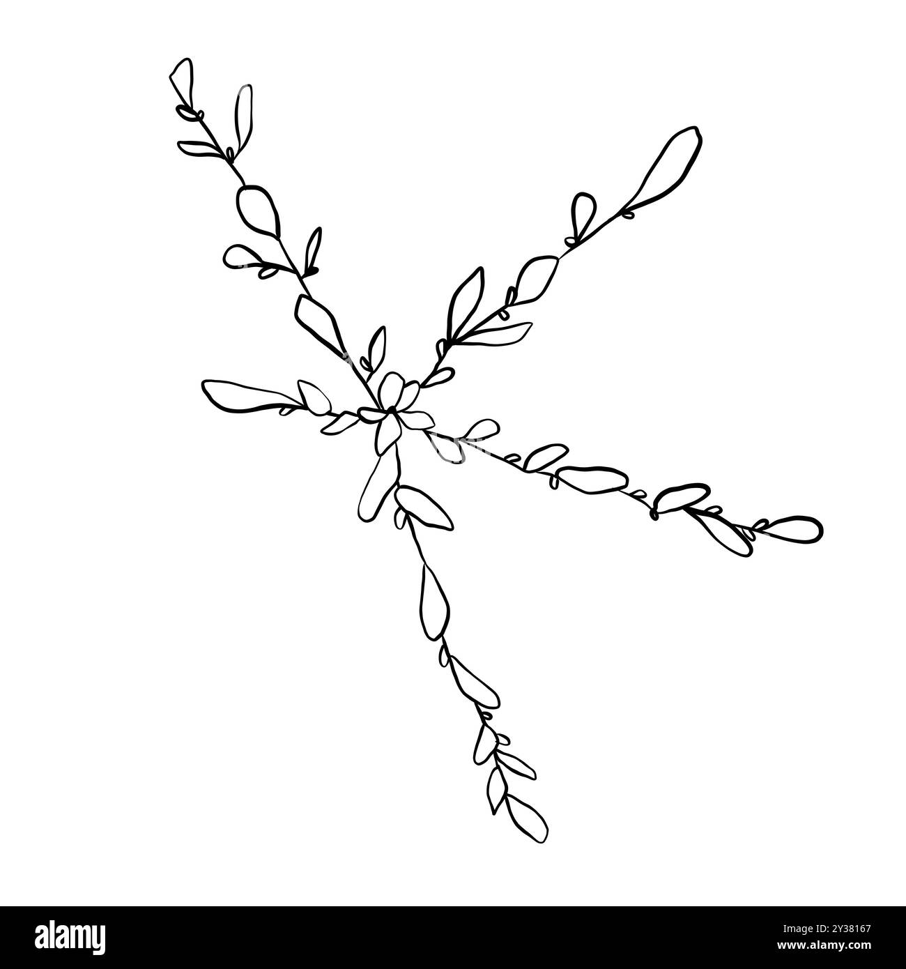 Sprout con rami striscianti e piccole foglie, illustrazione line art Foto Stock