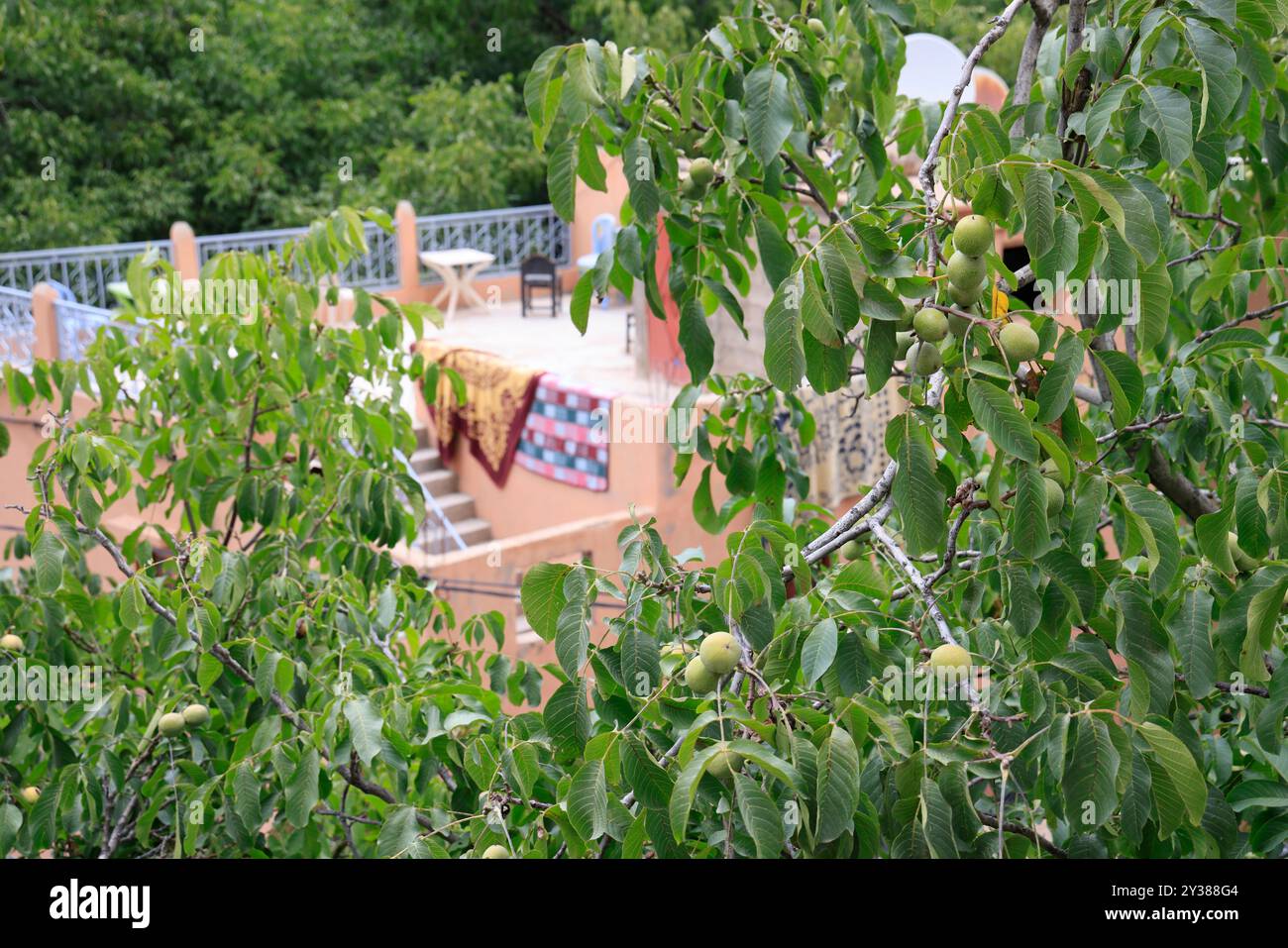 Il villaggio di Imlil, situato nelle montagne dell'alto Atlante alle porte del Parco Nazionale di Toubkal, è il punto di partenza per la salita del Monte Toubkal, wh Foto Stock