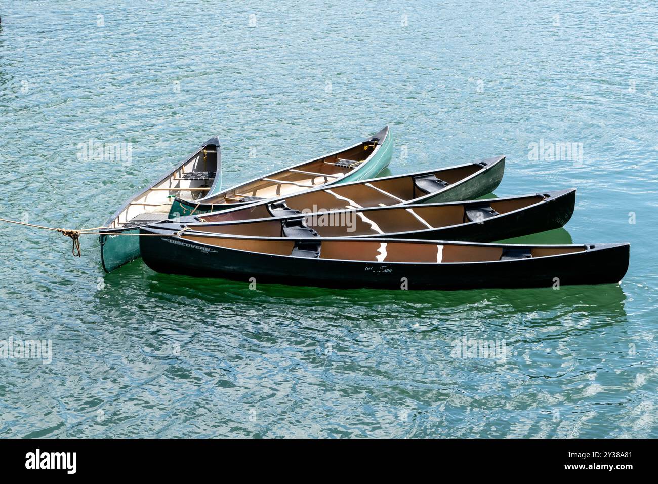 Cinque canoe Riber in legno ormeggiate sul fiume Fal in Cornovaglia nel Regno Unito Foto Stock