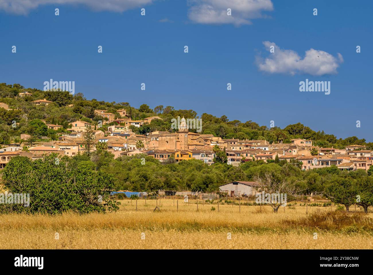 Villaggio di Santa Eugènia, nel Pla de Mallorca, dietro alcuni campi dorati all'inizio dell'estate (Maiorca, Isole Baleari, Spagna) Foto Stock