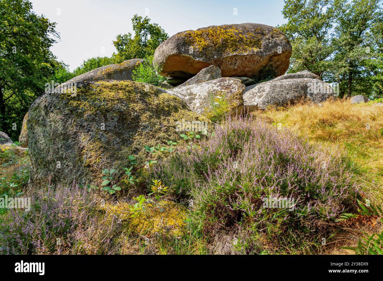 I massi granitici del Pierres Jaumâtres, un gioiello naturale del Limousin , dipartimento della Creuse, vicino a Boussac Foto Stock