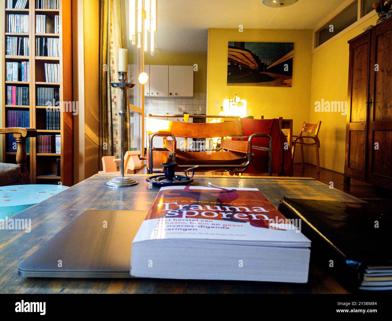 Letteratura scientifica sulla psicotrauma e attività serali cPTSD, che coinvolgono la musica di Klaus Shultze & a Good Book on PsychoTrauma. Tilburg, Paesi Bassi. Tilburg Studio Tuinstraat Noord-Brabant Nederland Copyright: XGuidoxKoppesxPhotox Foto Stock