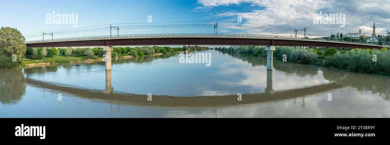 Vista panoramica del ponte della linea 1 della metropolitana che attraversa il fiume Guadalquivir vicino a San Juan de Aznalfarache a Siviglia, Andalusia. Verde lussureggiante e tranquillo Foto Stock