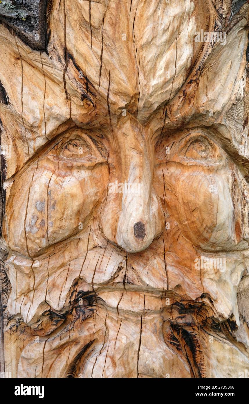 faccia del vecchio scolpita sul tronco dell'albero Foto Stock