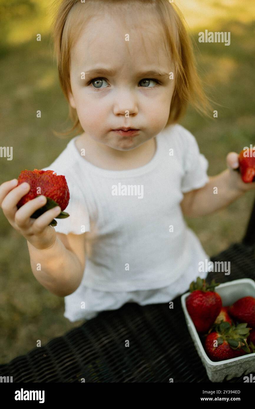 Il bambino mangia un cestino di fragole all'aperto Foto Stock