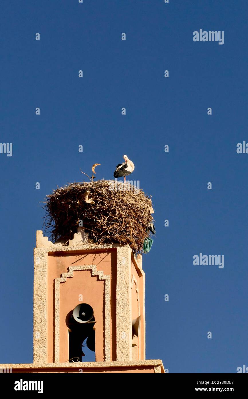 Le gole di Dades sono attraversate da una striscia tortuosa di asfalto conosciuta dalla gente del posto come la "strada delle mille casbah" Foto Stock