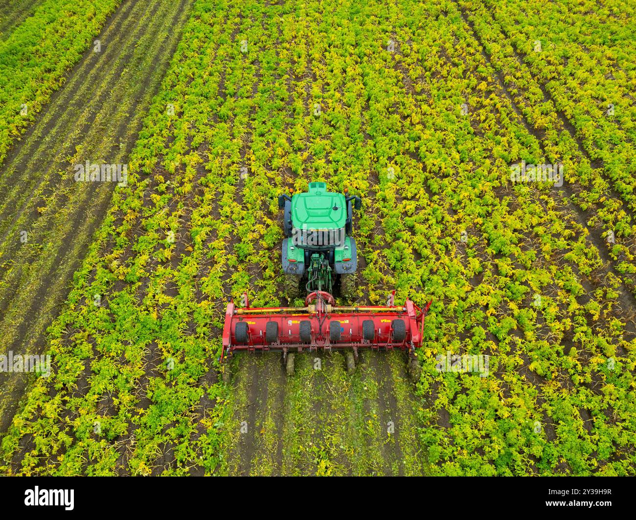 Vista aerea dell'agricoltore che lavora sul campo con trattore presso Drem nell'East Lothian, Scozia, Regno Unito Foto Stock