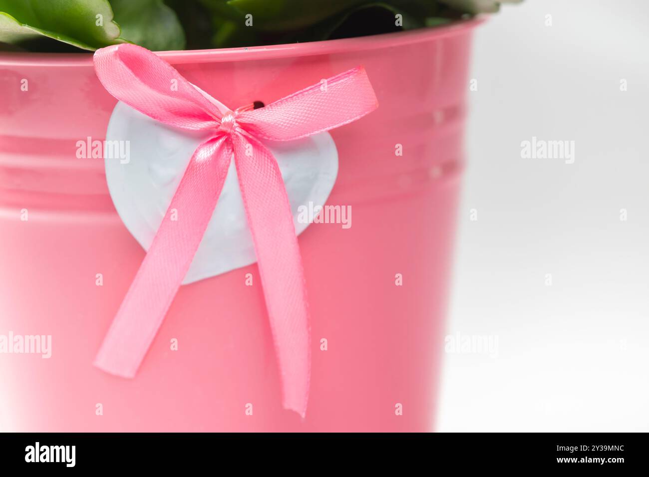 particolare di vaso di fiori con cuore bianco e nastro rosa Foto Stock